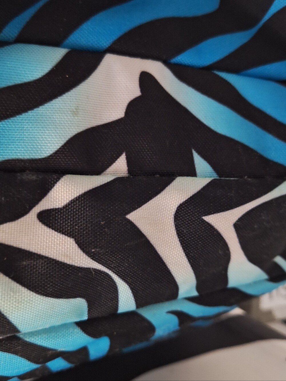 Jansport Backpack, Zebra Stripes, Black & Blue & White w/Blue Accents - Picture 5 of 15